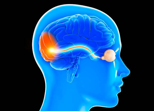 Neuro-ophthalmology consultation